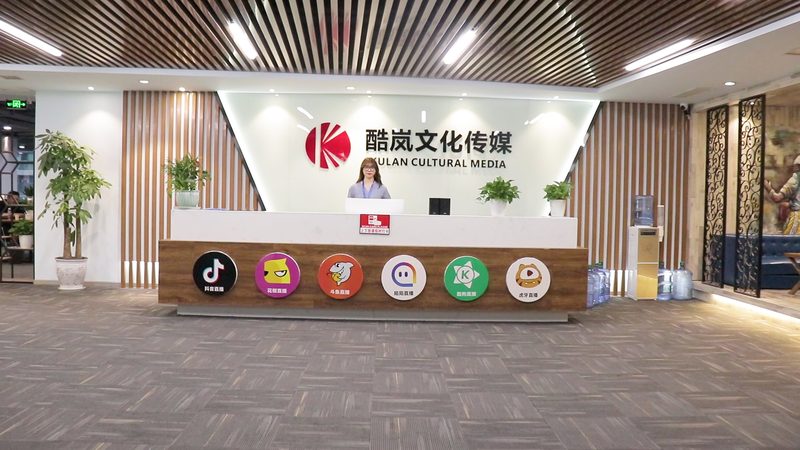 品牌策划方案：解码其优缺点，助力企业精准决策